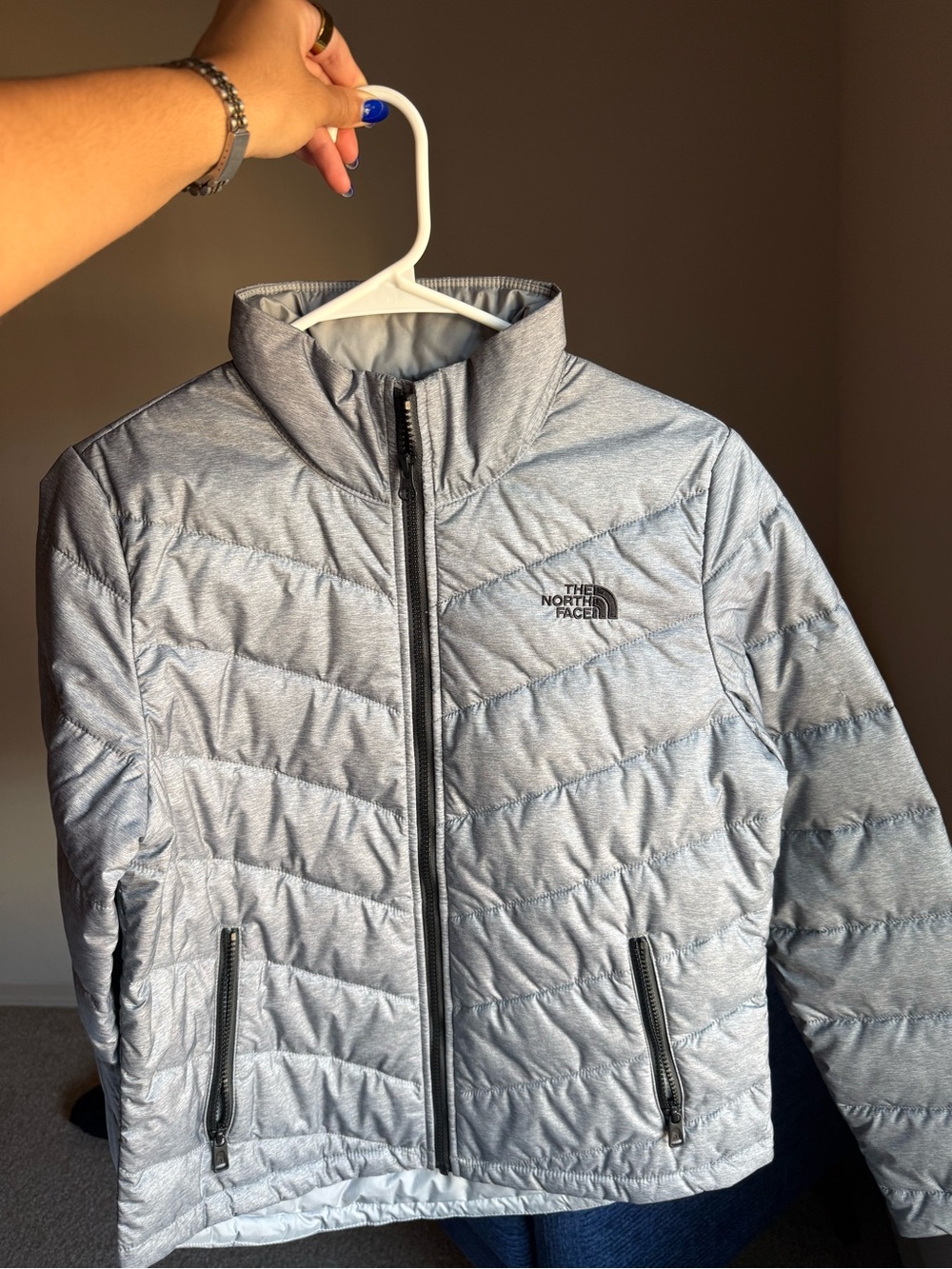 The North Face Men's Light Silver Quilted Puffer Jacket